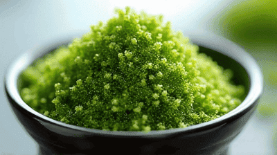 Algae Superfood: The Next Big Thing in Sustainable Nutrition?