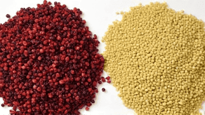 How Indigenous Crops Like Quinoa and Amaranth Are Fighting World Hunger