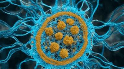 The Human Microbiome: Why Your Gut Bacteria Are Essential for Health